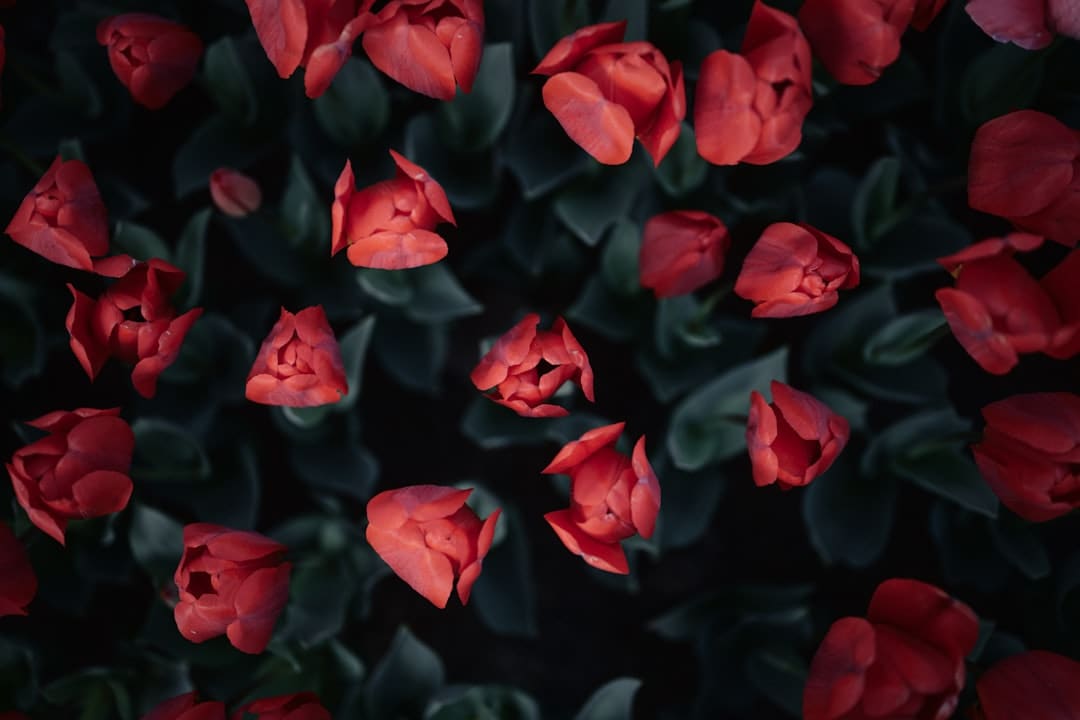 “印度首部AI电影”计划明年上映